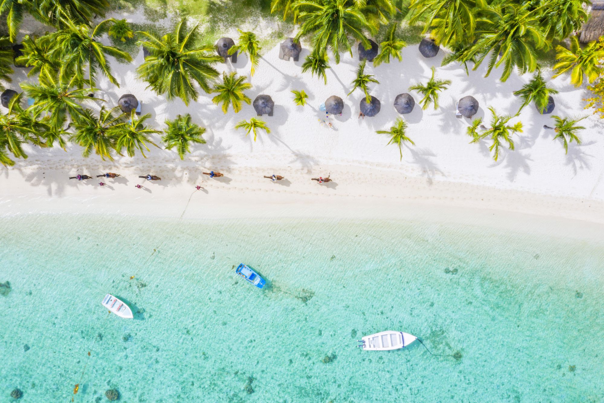 People enjoying riding horses riding on tropical sand beach facing the lagoon, aerial view, Indian Ocean, Mauritius Island