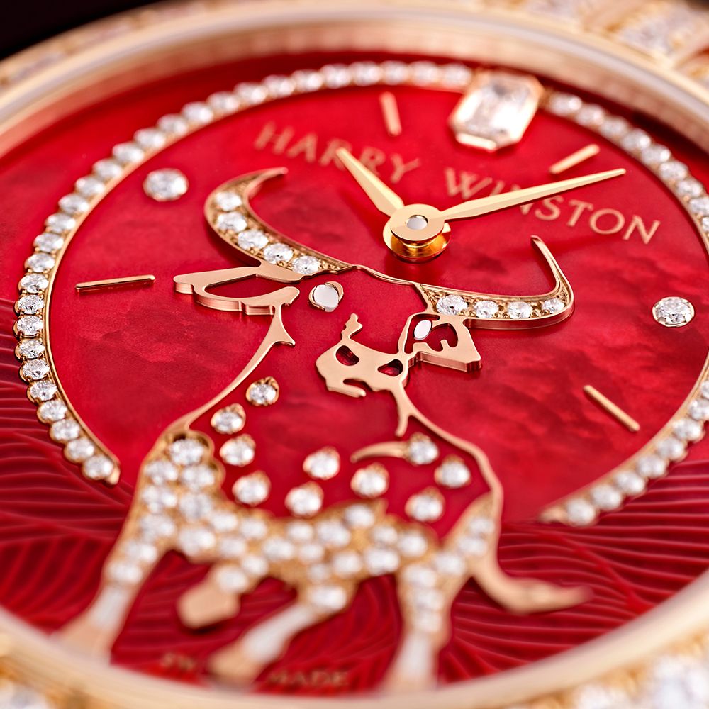 Premier系列牛年生肖36毫米玫瑰金自動腕錶,限量8枚 by Harry Winston。