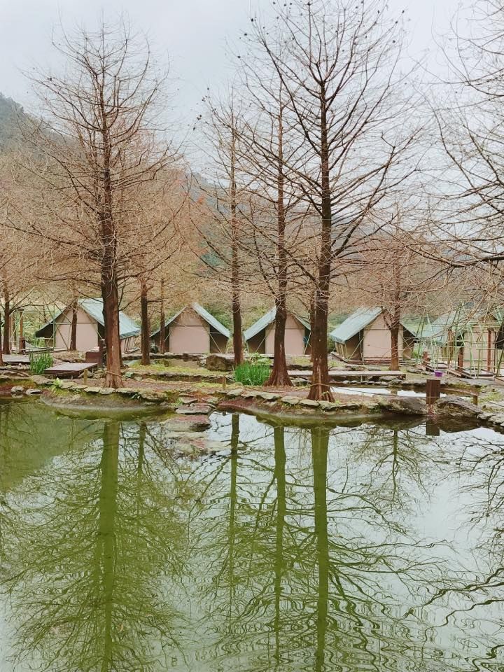 圖片來源/那一村 Nayi Villa 臉書粉絲專頁