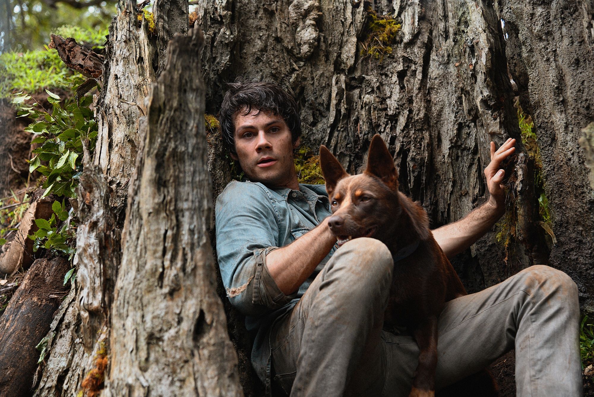 Dylan O\'Brien stars in LOVE AND MONSTERS from Paramount Pictures and Paramount Players. Photo Credit: Jasin Boland.