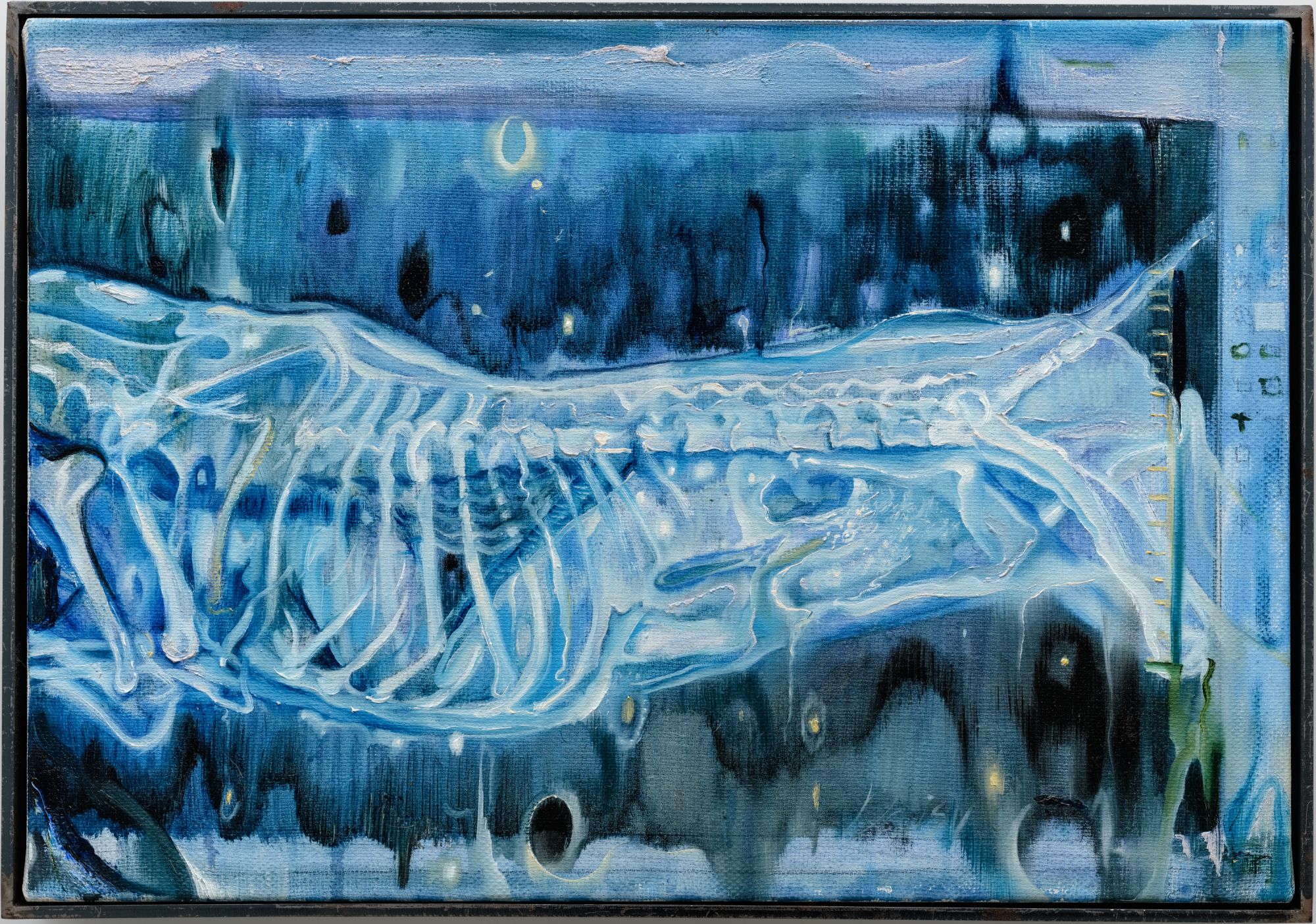「氣味」洪禎佑個展,作品〈X光〉。(圖LIGHTWELL提供)