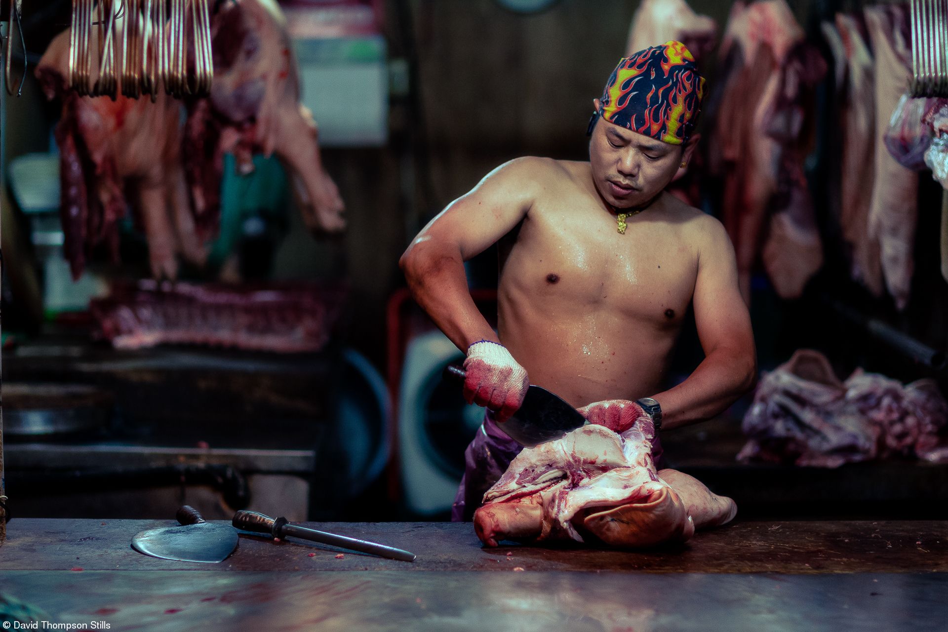 Photograph: David Thompson