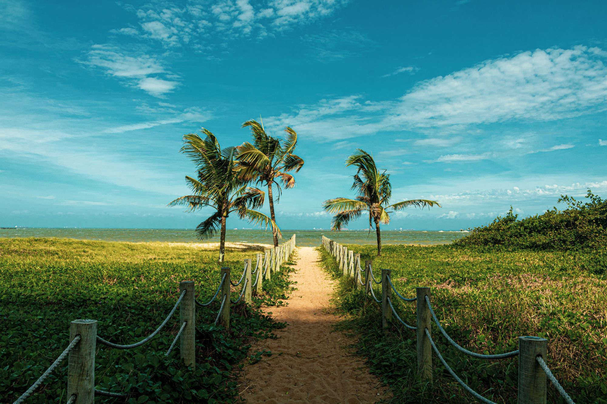 各地有不同的立夏習俗。(Photo by Mateus Elias on Unsplash)
