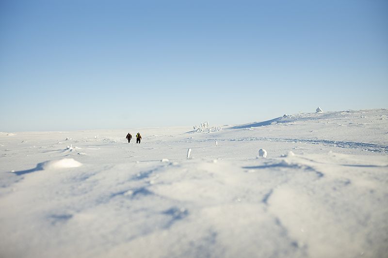 De Beers 位於加拿大的高秋桂(Gahcho Kué) 礦區中的生態科學家。