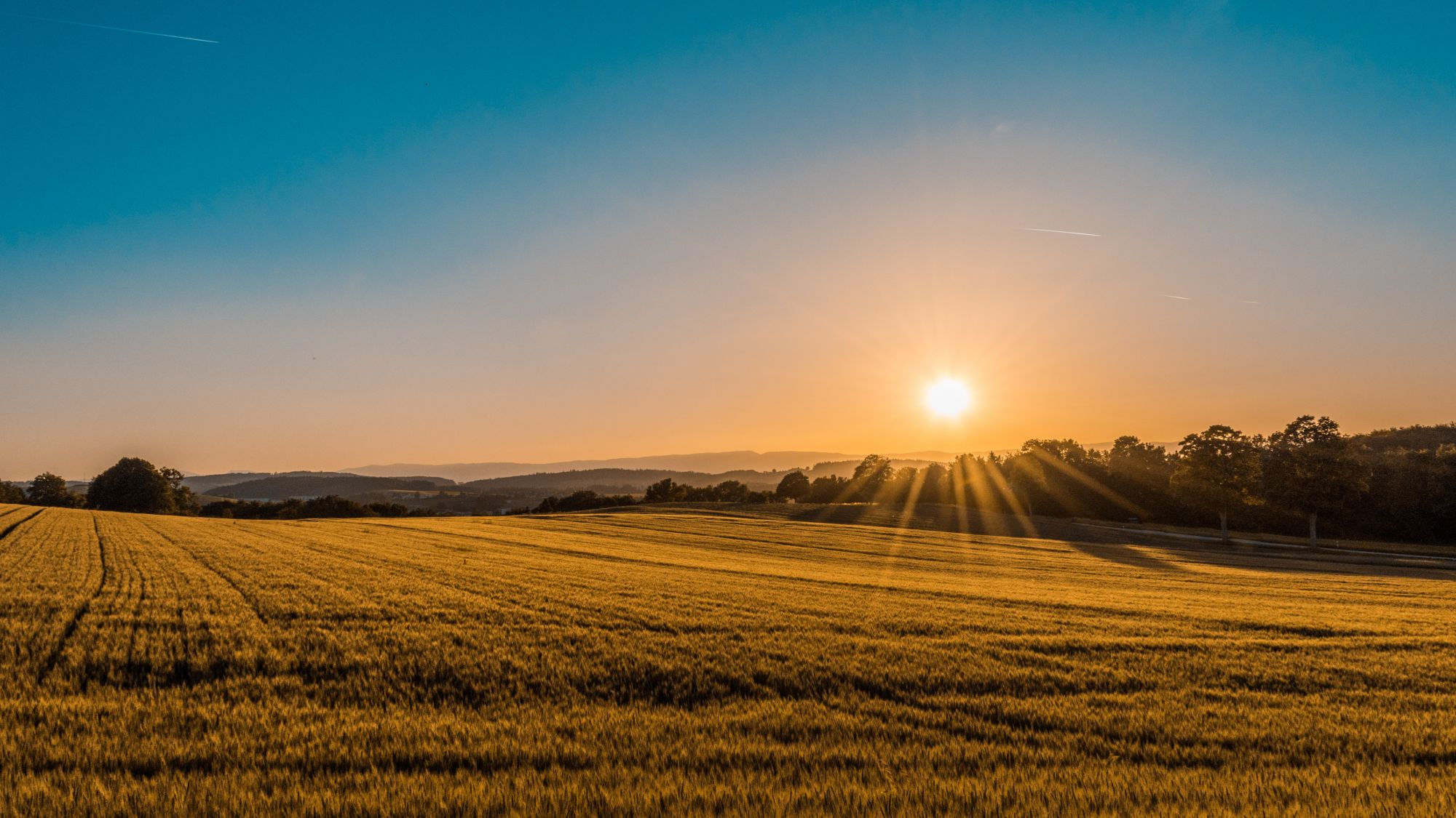 小暑是夏至到大暑之間的節氣。(Photo by Federico Respini on Unsplash)