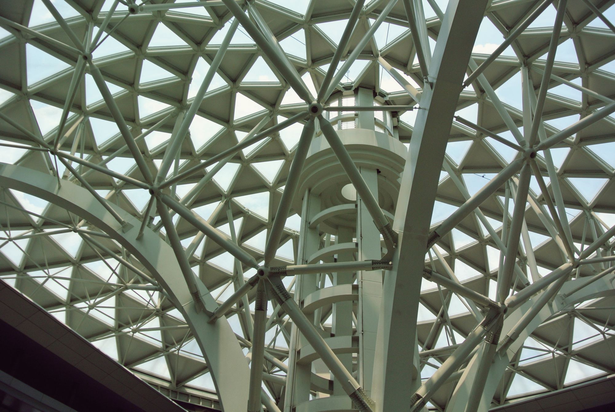 Ceiling-view. "A symbol of the encompassing embrace of all life on earth under God and nature", the Tree of Life is not simply a beautiful structure, it serves as an expression of the museum's philosophy.
