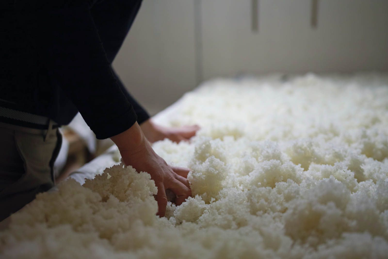 What Makes Sake The Perfect Choice For Any Dish