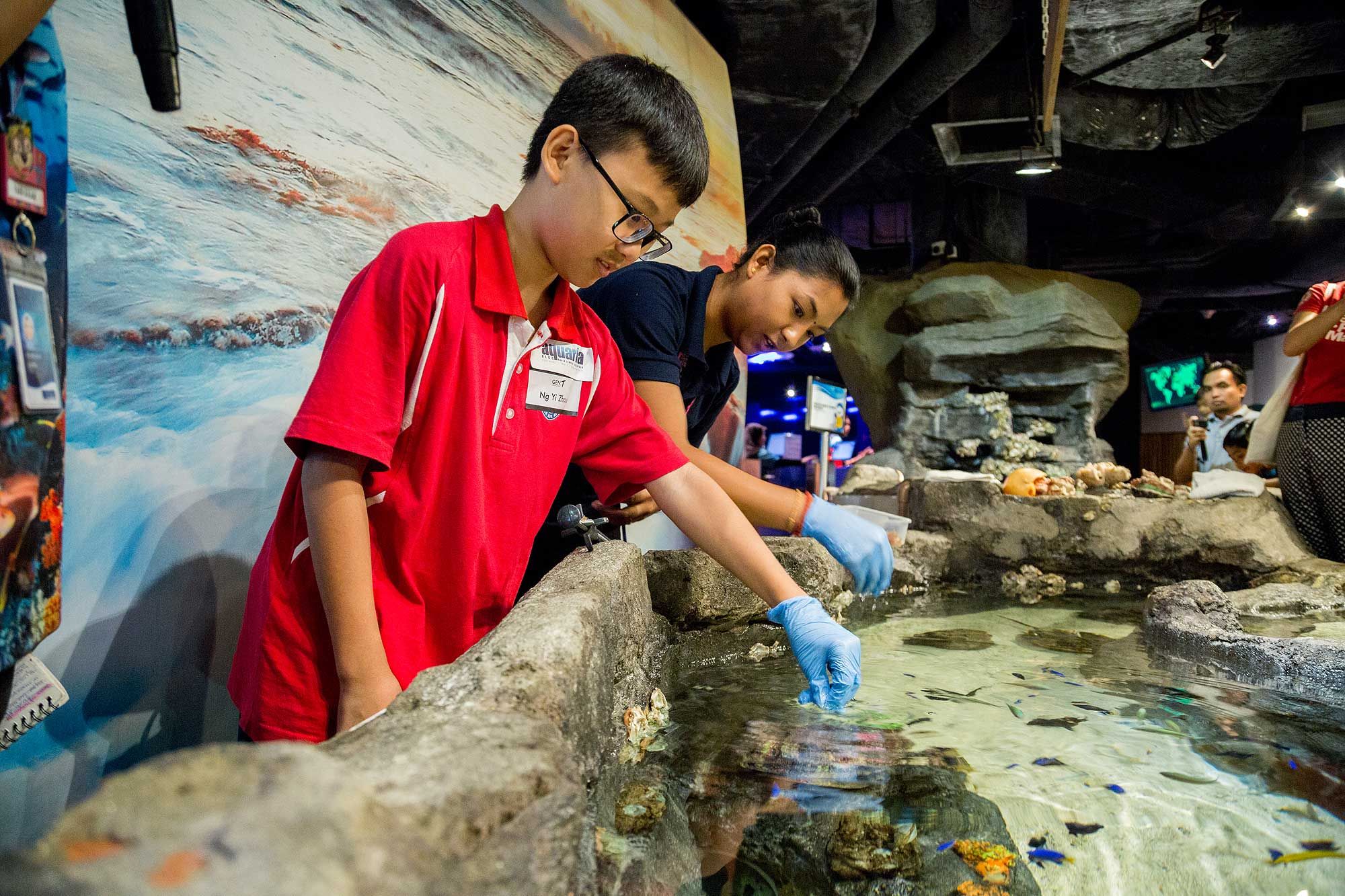 Student Yi Zhou feeding the bamboo sharks