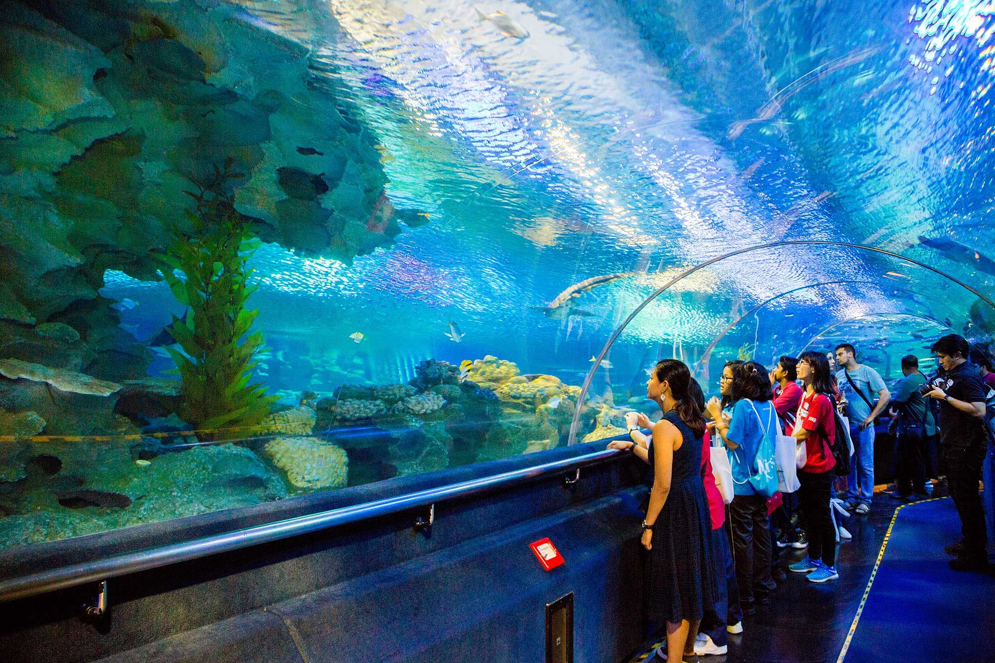 The guests touring Aquaria KLCC