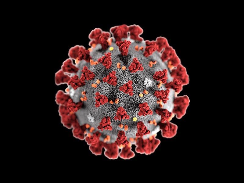 How The Gen.T Community Is Helping In The Fight Against Covid-19