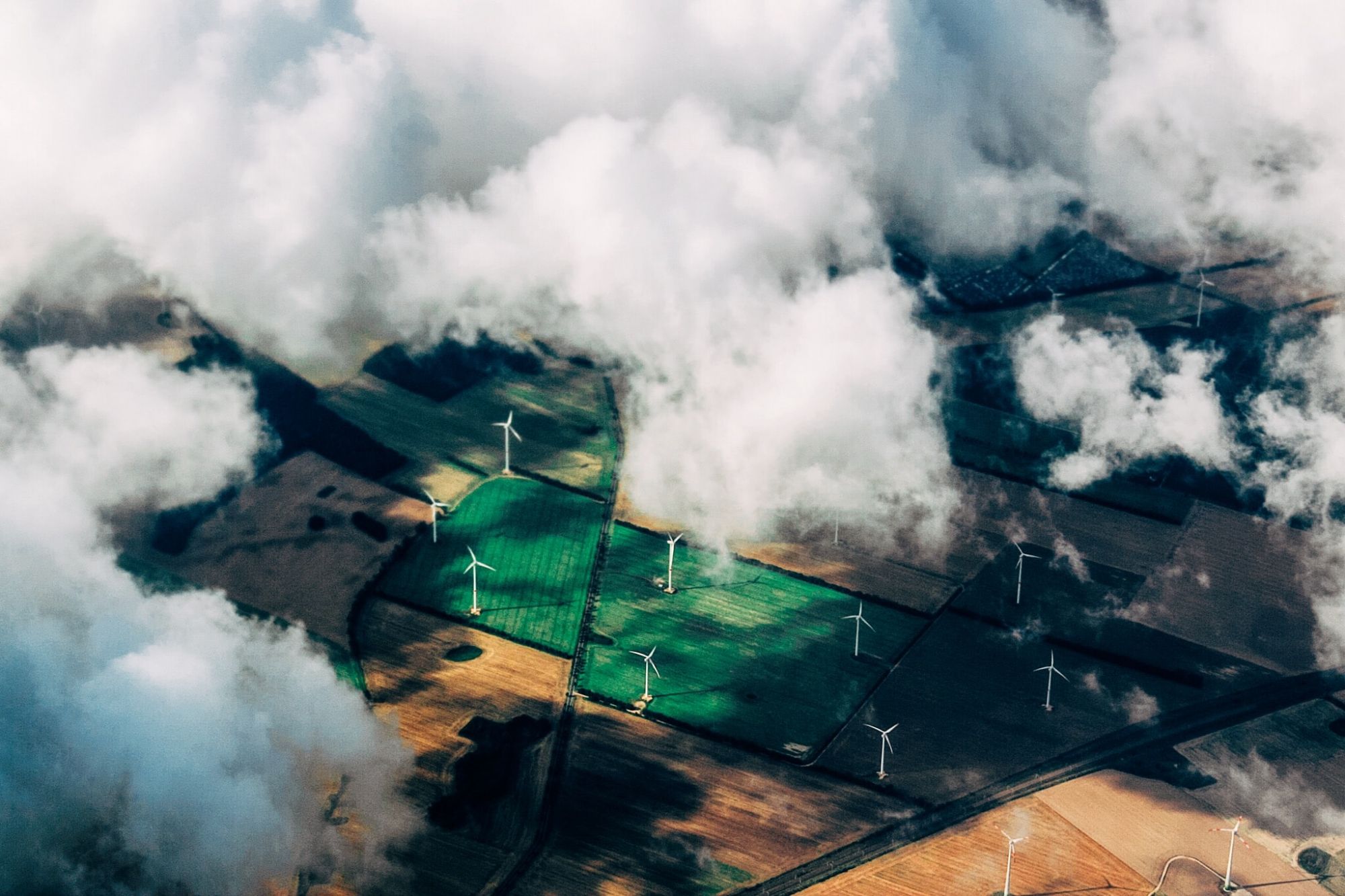 How Low-Carbon Investing Can Help Fight Climate Change