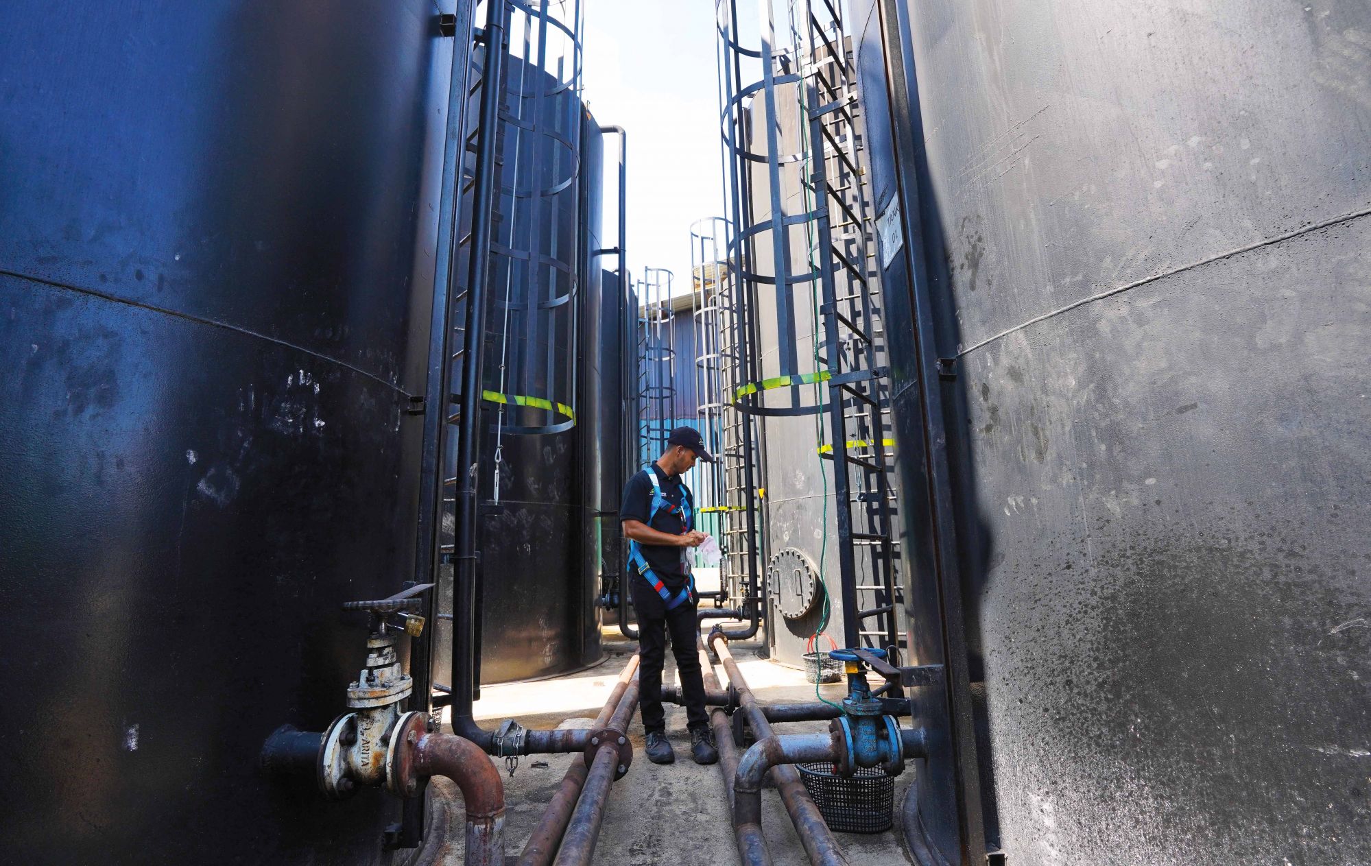 FatHopes Energy harvests waste oil and turns it into biofuel